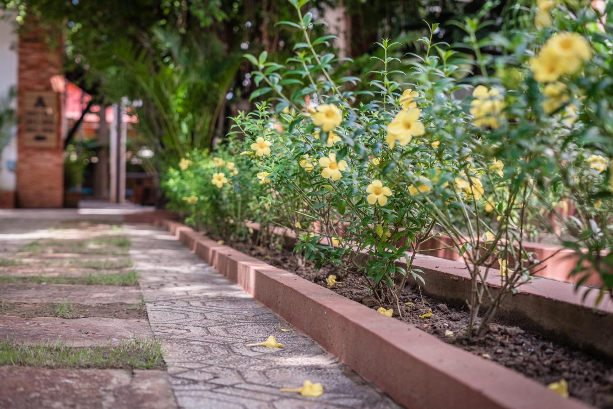 Bamboo Retreat Villa Siem Reap Eksteriør billede