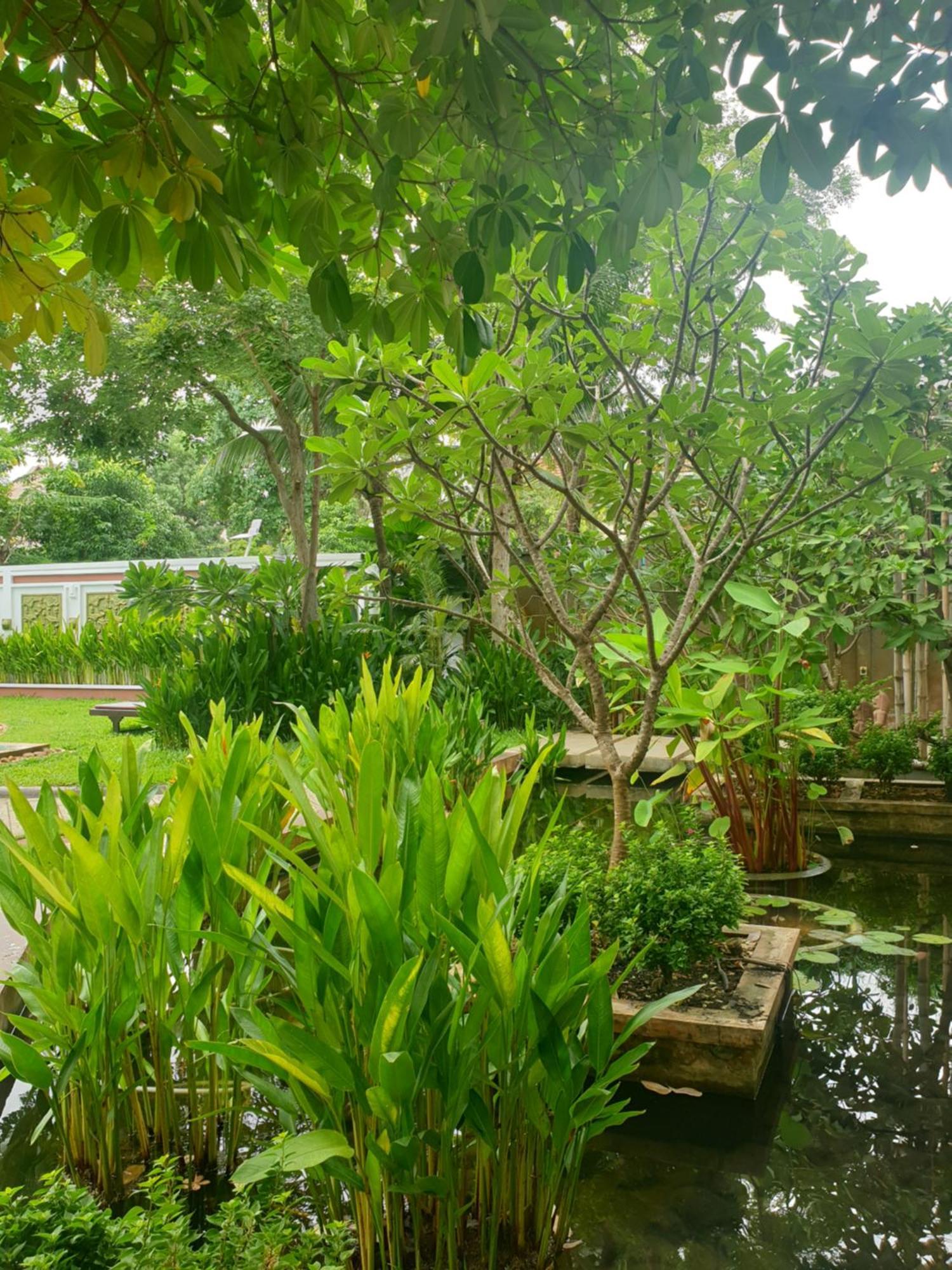 Bamboo Retreat Villa Siem Reap Eksteriør billede